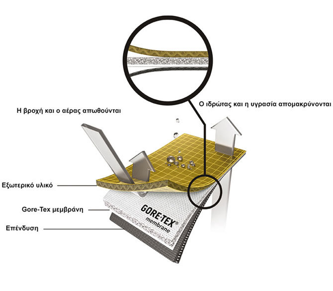 https://www.survival.gr/image/cache/catalog/blog/memvrani-670x586.jpg https://www.survival.gr/image/cache/catalog/blog/memvrani-670x586.jpg