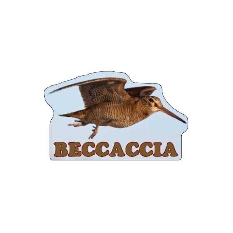 ΣΗΜΑ ΑΥΤΟΚΟΛΛΗΤΟ BECCACCIA