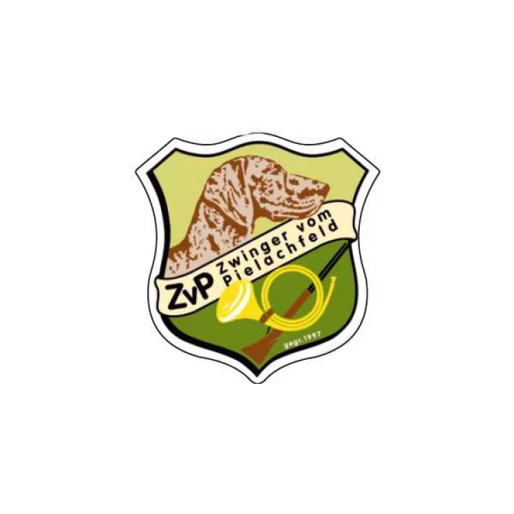 ΣΗΜΑ ΑΥΤΟΚΟΛΛΗΤΟ ZVP ΣΗΜΑ ΑΥΤΟΚΟΛΛΗΤΟ ZVP